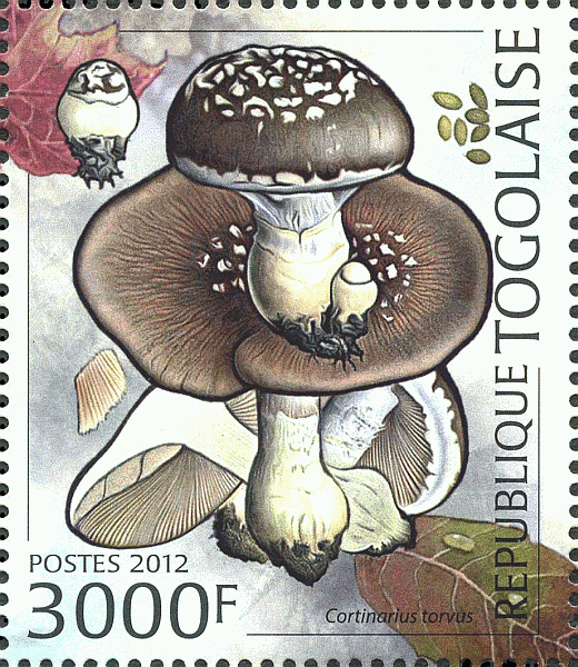 Briefmarke