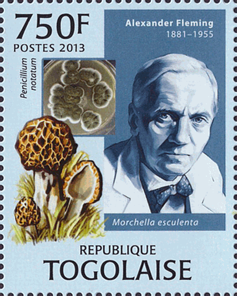 Briefmarke