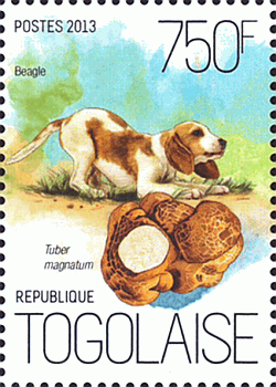 Briefmarke