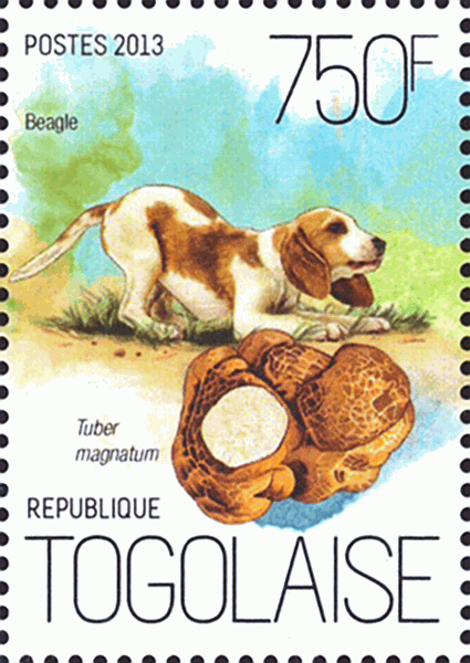 Briefmarke