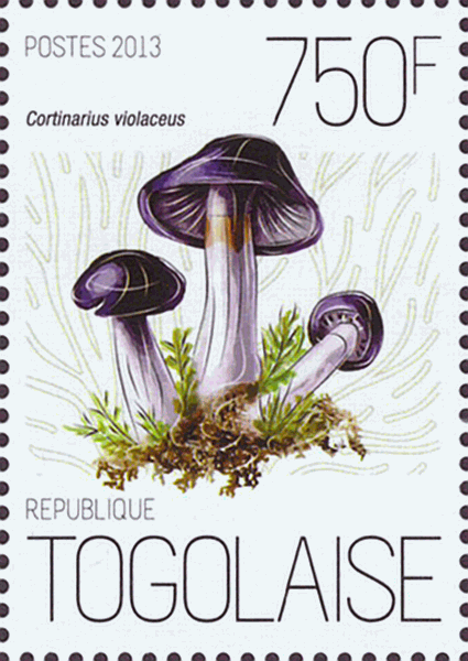 Briefmarke