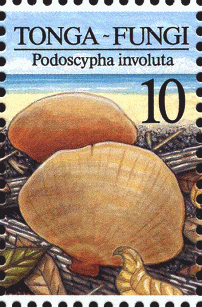 Briefmarke