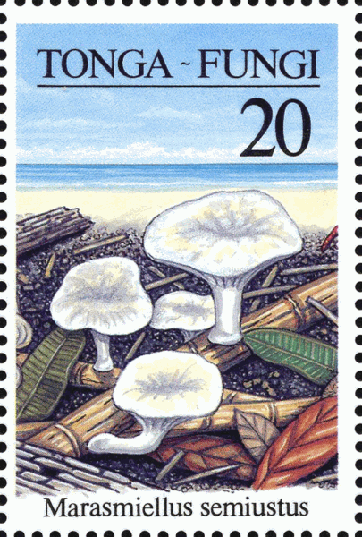 Briefmarke