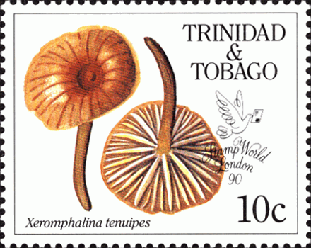 Briefmarke