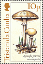Briefmarke