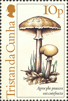 Briefmarke
