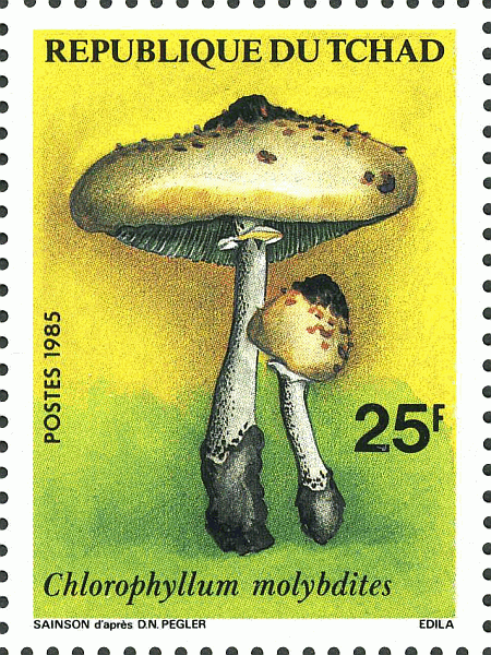 Briefmarke