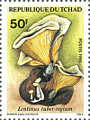 Briefmarke