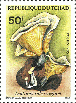 Briefmarke