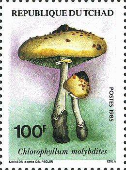 Briefmarke