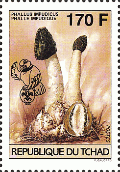 Briefmarke