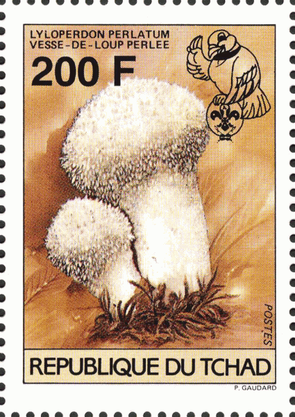 Briefmarke