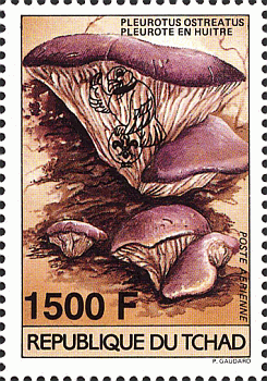 Briefmarke