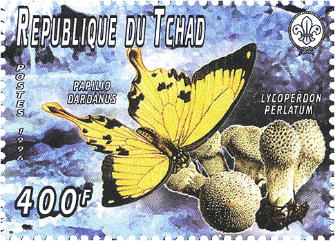 Briefmarke