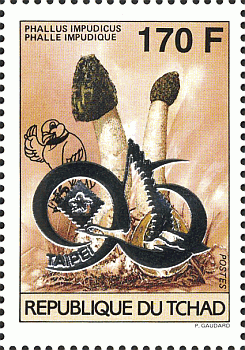 Briefmarke