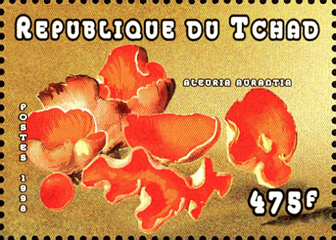 Briefmarke