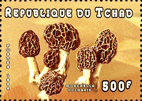 Briefmarke