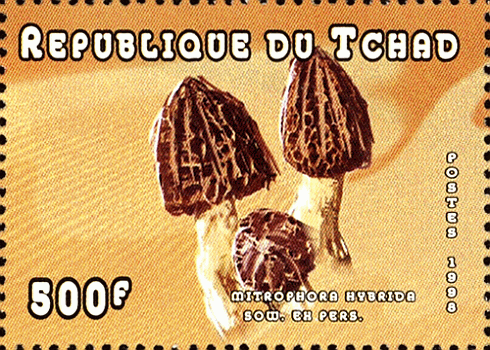 Briefmarke