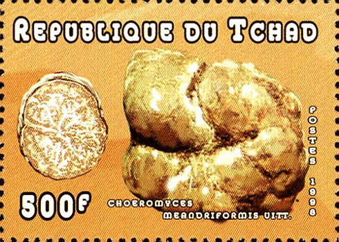 Briefmarke