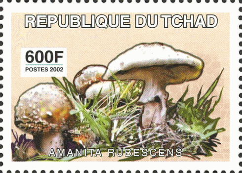 Briefmarke