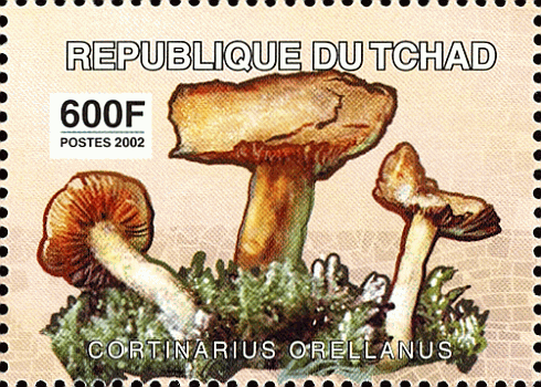 Briefmarke