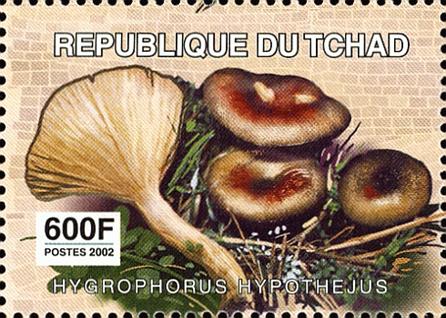 Briefmarke