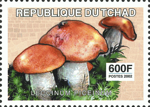 Briefmarke