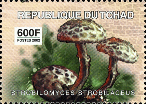 Briefmarke