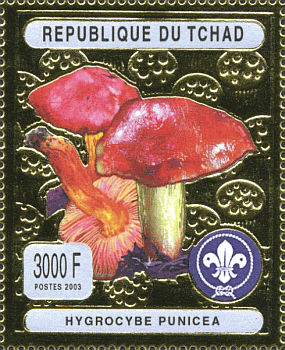 Briefmarke