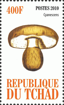 Briefmarke