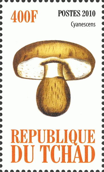 Briefmarke
