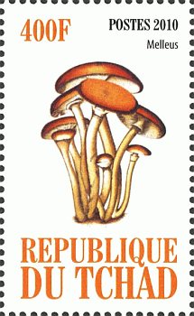 Briefmarke