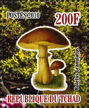 Briefmarke