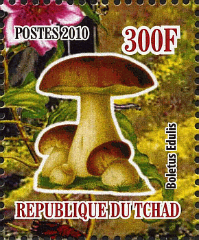 Briefmarke