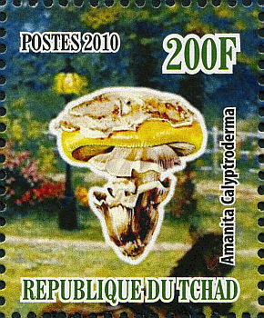 Briefmarke