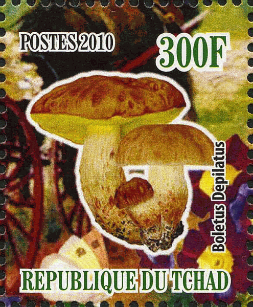 Briefmarke