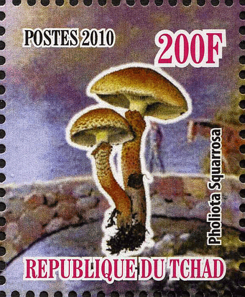 Briefmarke