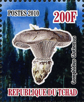 Briefmarke
