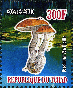 Briefmarke