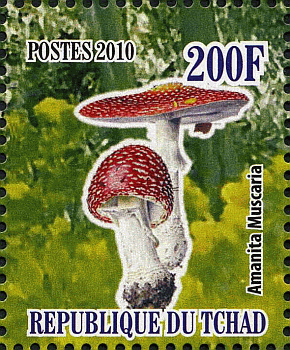 Briefmarke