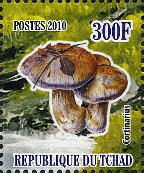 Briefmarke