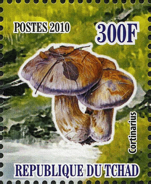 Briefmarke