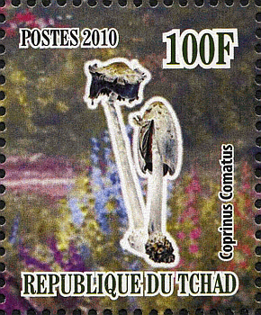 Briefmarke