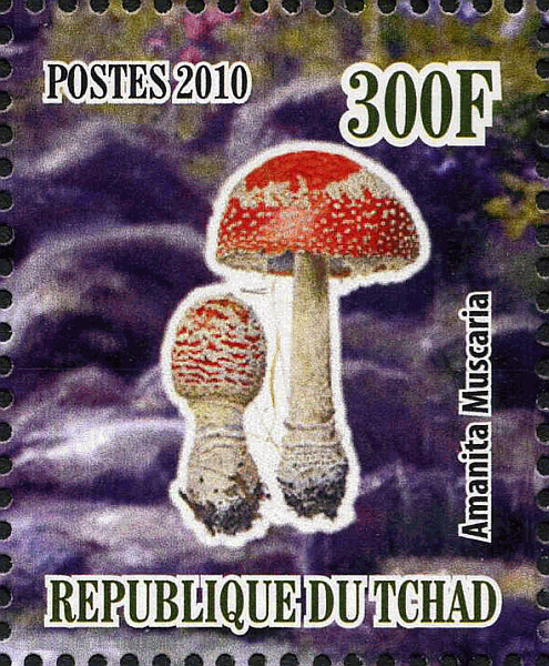 Briefmarke