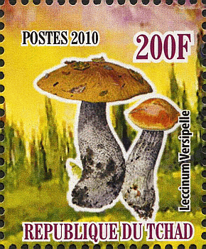Briefmarke