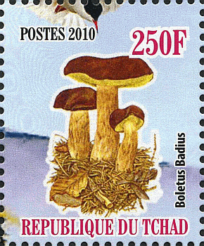 Briefmarke