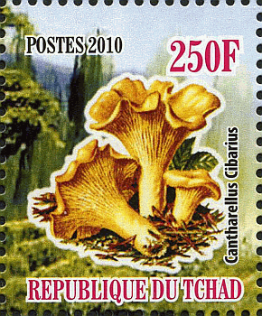 Briefmarke