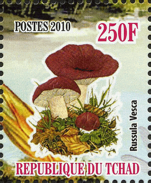 Briefmarke