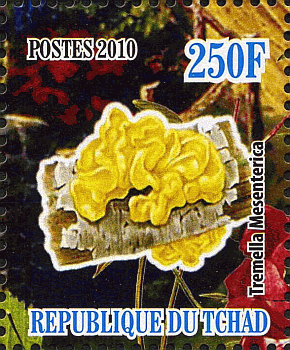 Briefmarke