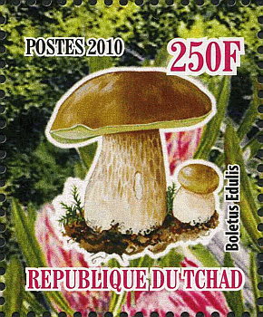 Briefmarke